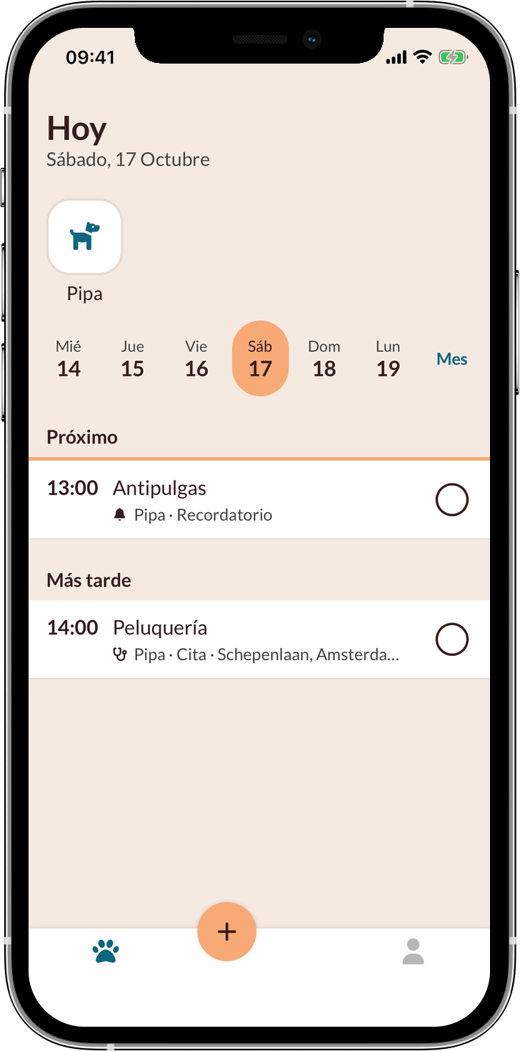 La app Pipita mostrando la agenda del día de la perra Pipa, con un recordatorio de antipulgas a las 13:00 y una cita de peluquería a las 14:00.