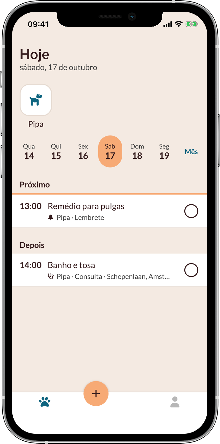 O app Pipita mostrando a agenda do dia da cadela Pipa, com um lembrete de remédio para pulgas às 13:00 e um banho e tosa às 14:00.
